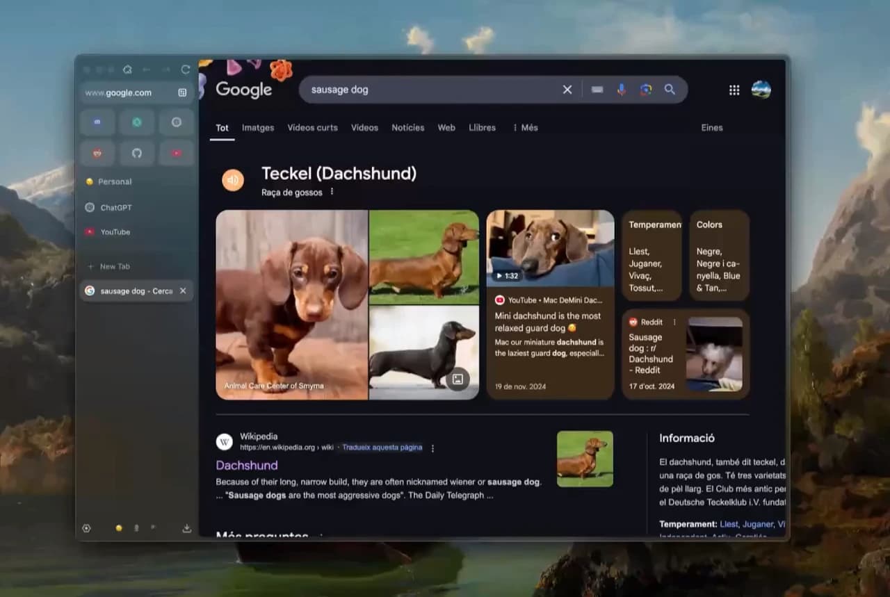 Zen Browser with sidebar tabs browsing Google search results